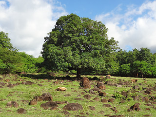 Image showing impression of Guadeloupe