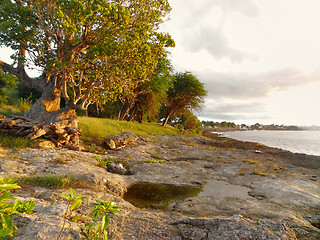 Image showing coastal scenery at Guadeloupe