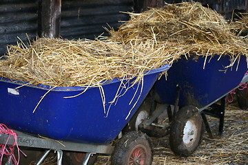 Image showing Equestrian Straw Barrows