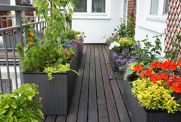 Image showing Modern beautiful terrace with a lot of flowers 