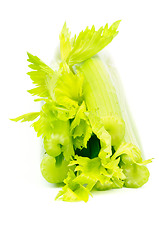 Image showing Celery