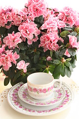 Image showing Cup with roses and Azalea