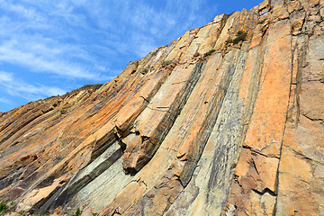 Image showing Hong Kong Geo Park , hexagonal column