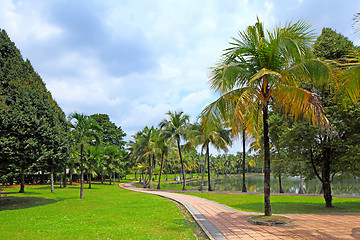 Image showing path in park