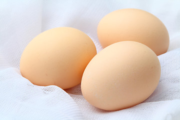 Image showing Egg 
