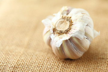 Image showing garlic 