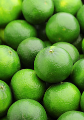 Image showing lime citrus fruit