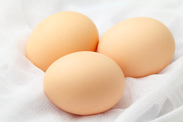 Image showing Egg