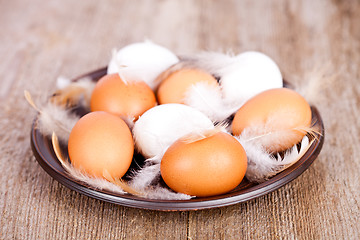 Image showing eggs and feathers in a plate 