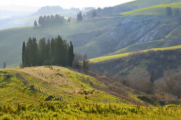 Image showing Tuscan landscape