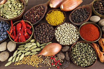 Image showing Indian spices