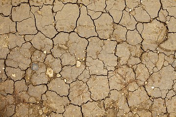 Image showing Dry Soil