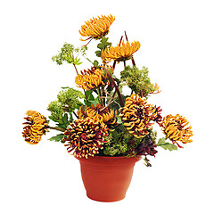 Image showing Bouquet from chrysanthemums arrangement centerpiece in vase isol