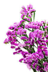 Image showing Bouquet from purple statice flowers arrangement centerpiece isol