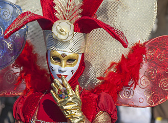 Image showing Venetian Disguise