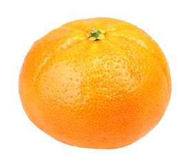 Image showing One full fruit of orange tangerine