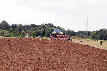 Image showing tractor work agriculture field autumn storks bird 