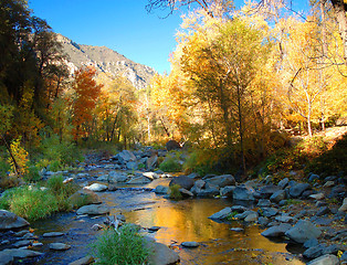 Image showing FALL REFLECTION