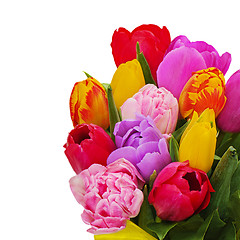 Image showing Fragment of floral bouquet from colorful tulips isolated on whit