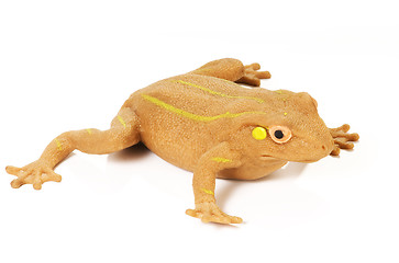 Image showing frog on white