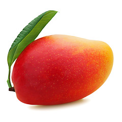 Image showing Fresh mango fruit isolated on white background.