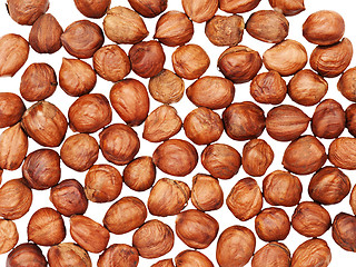 Image showing Hazelnuts background isolated on white.