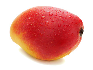 Image showing Fresh mango fruit isolated on white background.