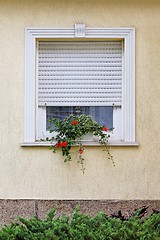 Image showing Window