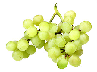 Image showing Branch of fresh green grape