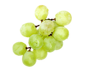 Image showing Small branch of fresh green grape