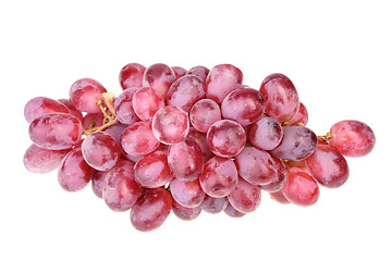 Image showing Branch of fresh purple grape