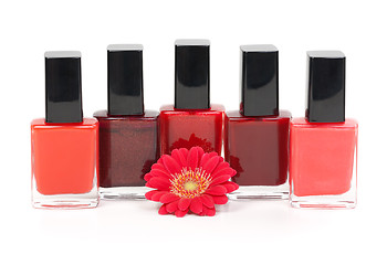 Image showing Colorful nail polishes stand near beautiful red flower