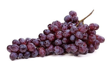 Image showing Fresh blue grape fruit on white background