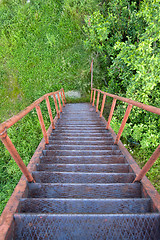 Image showing Descent from the rusty ladder