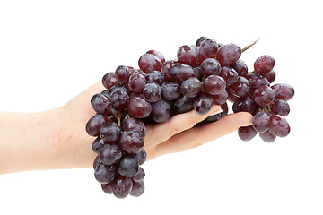 Image showing Bunch of grapes in female hand. Isolated.