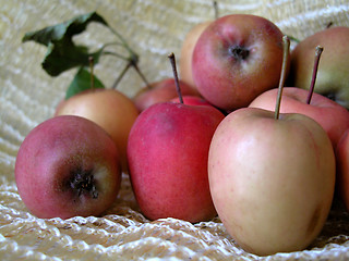 Image showing apples