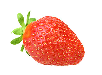 Image showing One red berry fresh strawberry