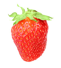 Image showing One red berry fresh strawberry