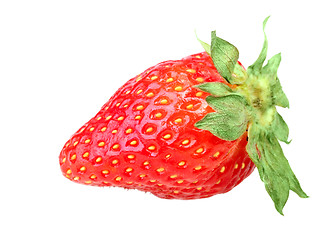 Image showing One red berry of fresh strawberry