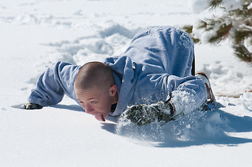 Image showing Bald boy licking the snow