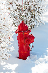 Image showing Red fire hydrant in snow