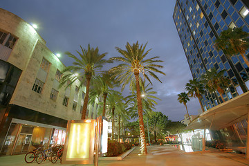 Image showing MIAMI - JAN 31: Tourists enjoy the sights and buildings in Linco