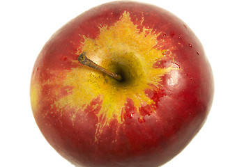 Image showing fresh red apple