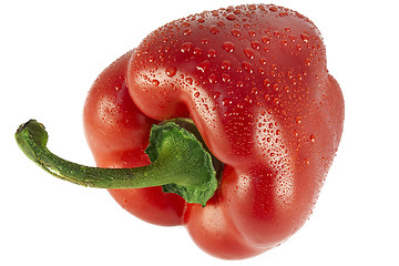 Image showing red pepper paprika