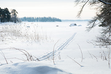 Image showing Skiing tracks in snow