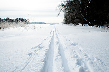 Image showing Skiing tracks in snow