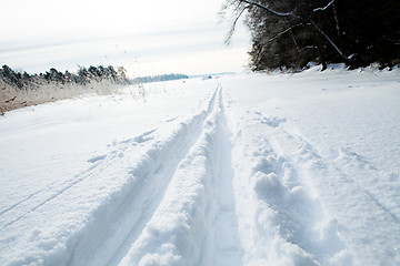 Image showing Skiing tracks in snow