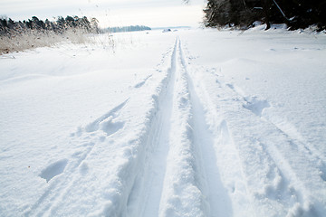 Image showing Skiing tracks in snow