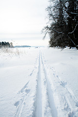 Image showing Skiing tracks in snow