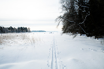 Image showing Skiing tracks in snow